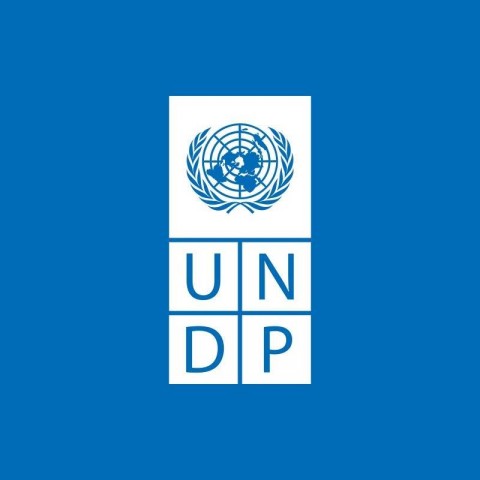 UNDP-Namibia-logo