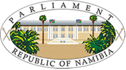 b2ap3_amp_NAM-NA-Logo